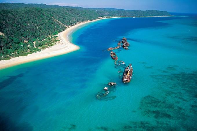 海豚体育🍟：✅海洋之韵：畅享海豚体育的无限魅力？、形形色色解释落实